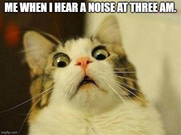 Scared Cat Meme | ME WHEN I HEAR A NOISE AT THREE AM. | image tagged in memes,scared cat | made w/ Imgflip meme maker