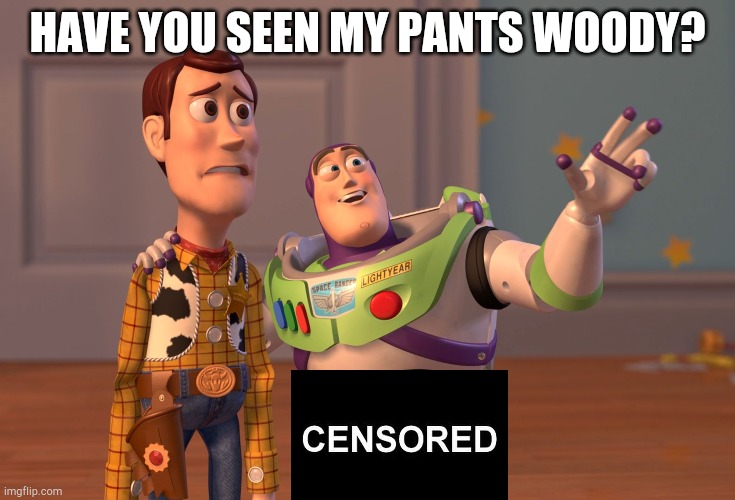 The heck? | HAVE YOU SEEN MY PANTS WOODY? | image tagged in memes,x x everywhere,funny,missing,pants,censorship | made w/ Imgflip meme maker
