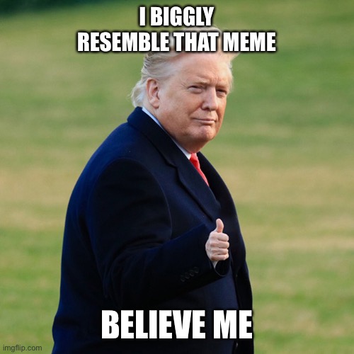 I BIGGLY RESEMBLE THAT MEME BELIEVE ME | made w/ Imgflip meme maker