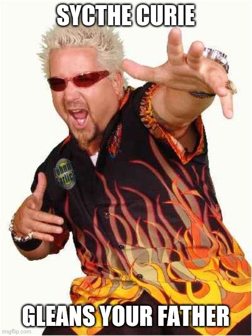 Guy Fieri | SYCTHE CURIE; GLEANS YOUR FATHER | image tagged in guy fieri | made w/ Imgflip meme maker