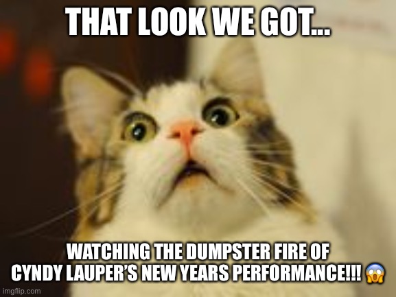 Cyndy Lauper | THAT LOOK WE GOT... WATCHING THE DUMPSTER FIRE OF CYNDY LAUPER’S NEW YEARS PERFORMANCE!!! 😱 | image tagged in new years eve | made w/ Imgflip meme maker