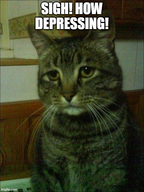 Depressed Cat Meme | SIGH! HOW DEPRESSING! | image tagged in memes,depressed cat | made w/ Imgflip meme maker