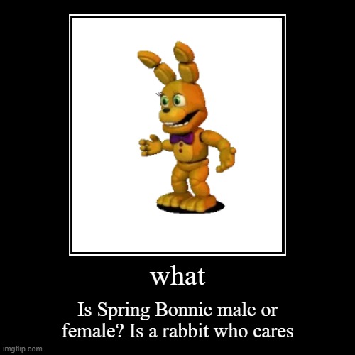 spring bonnie's gender | image tagged in funny,demotivationals,springbonnie | made w/ Imgflip demotivational maker