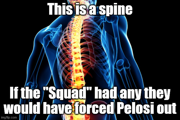 The Squad are a joke | This is a spine; If the "Squad" had any they would have forced Pelosi out | image tagged in spine,squad,nancy pelosi,democrats | made w/ Imgflip meme maker