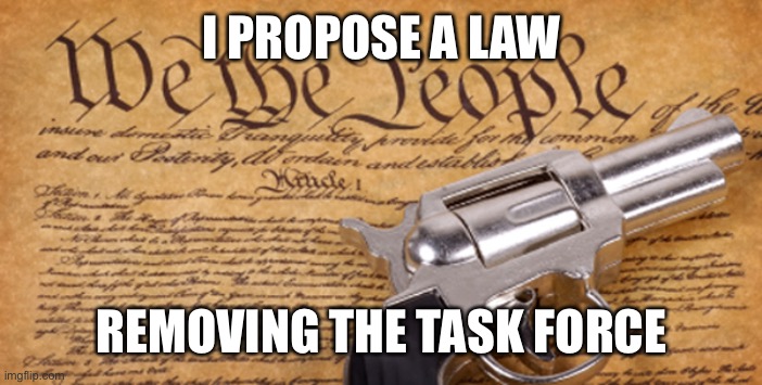 Declare your Vote in comments | I PROPOSE A LAW; REMOVING THE TASK FORCE | image tagged in 2nd amendment | made w/ Imgflip meme maker