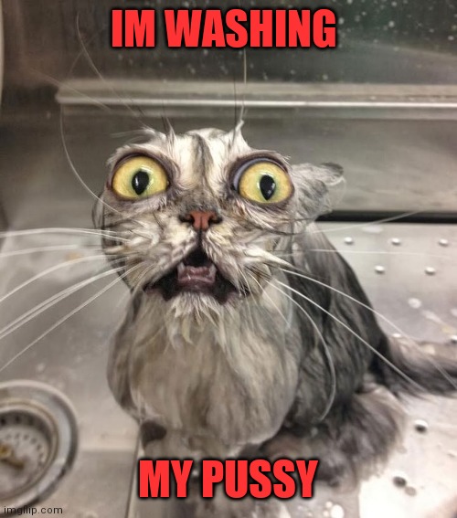 Wet pussy | IM WASHING; MY PUSSY | image tagged in wet pussy | made w/ Imgflip meme maker
