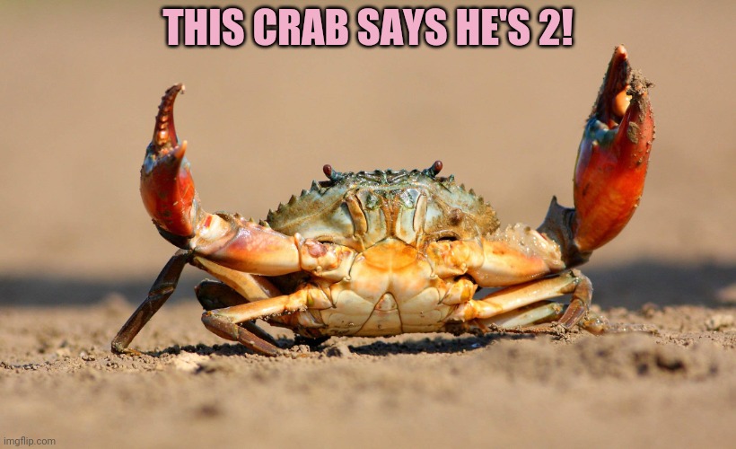 THIS CRAB SAYS HE'S 2! | made w/ Imgflip meme maker