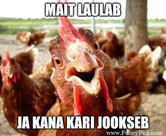 Chicken-party | MAIT LAULAB; JA KANA KARI JOOKSEB | image tagged in chicken | made w/ Imgflip meme maker