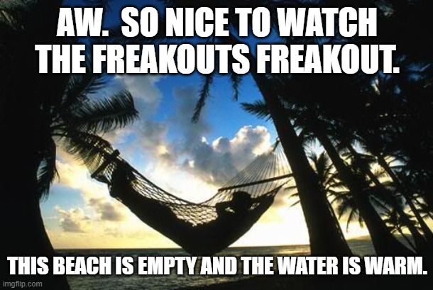 hammock | AW.  SO NICE TO WATCH THE FREAKOUTS FREAKOUT. THIS BEACH IS EMPTY AND THE WATER IS WARM. | image tagged in hammock | made w/ Imgflip meme maker