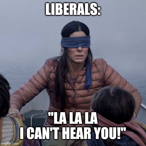 Bird Box Meme | LIBERALS: "LA LA LA
I CAN'T HEAR YOU!" | image tagged in memes,bird box | made w/ Imgflip meme maker