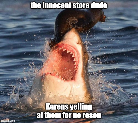 Travelonshark | the innocent store dude; Karens yelling at them for no reson | image tagged in memes,travelonshark | made w/ Imgflip meme maker