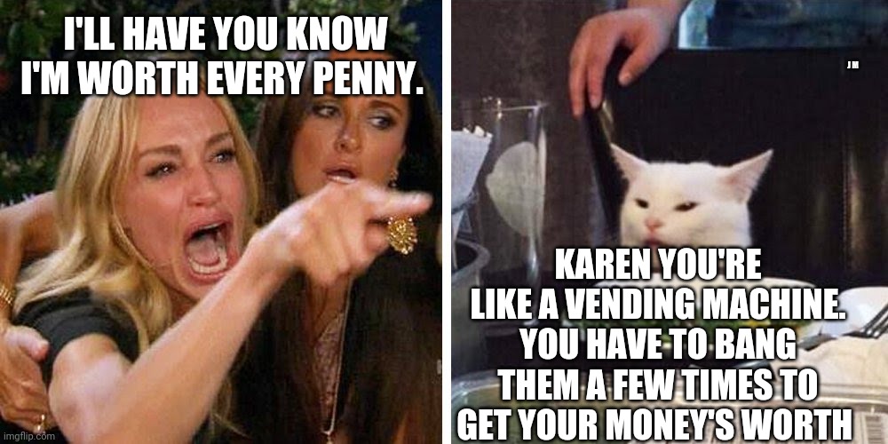 Smudge the cat | J M; I'LL HAVE YOU KNOW I'M WORTH EVERY PENNY. KAREN YOU'RE LIKE A VENDING MACHINE. YOU HAVE TO BANG THEM A FEW TIMES TO GET YOUR MONEY'S WORTH | image tagged in smudge the cat | made w/ Imgflip meme maker
