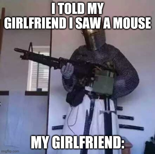 I would hate to know what she does to raccoons | I TOLD MY GIRLFRIEND I SAW A MOUSE; MY GIRLFRIEND: | image tagged in crusader knight with m60 machine gun | made w/ Imgflip meme maker