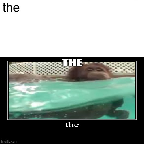 the | image tagged in monkey | made w/ Imgflip meme maker