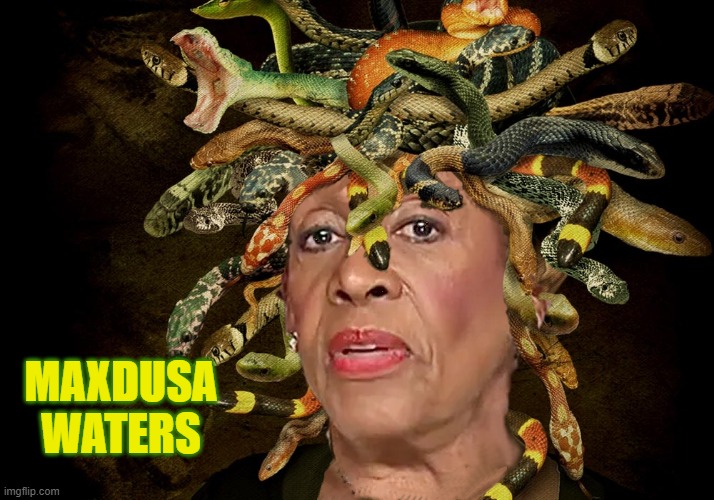 Don't Look Into Her Eyes | MAXDUSA WATERS | image tagged in maxdusa waters,medusa,maxine | made w/ Imgflip meme maker