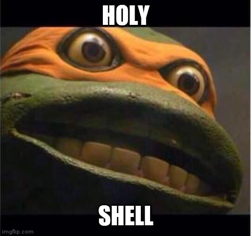 teen age mutant ninja turtle | HOLY SHELL | image tagged in teen age mutant ninja turtle | made w/ Imgflip meme maker