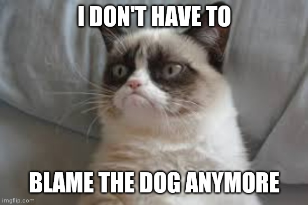 Grumpy cat | I DON'T HAVE TO BLAME THE DOG ANYMORE | image tagged in grumpy cat | made w/ Imgflip meme maker