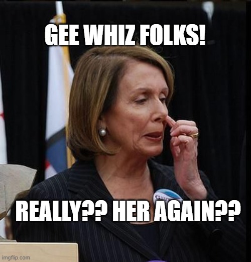 Nancy Pelosi | GEE WHIZ FOLKS! REALLY?? HER AGAIN?? | image tagged in nancy pelosi | made w/ Imgflip meme maker