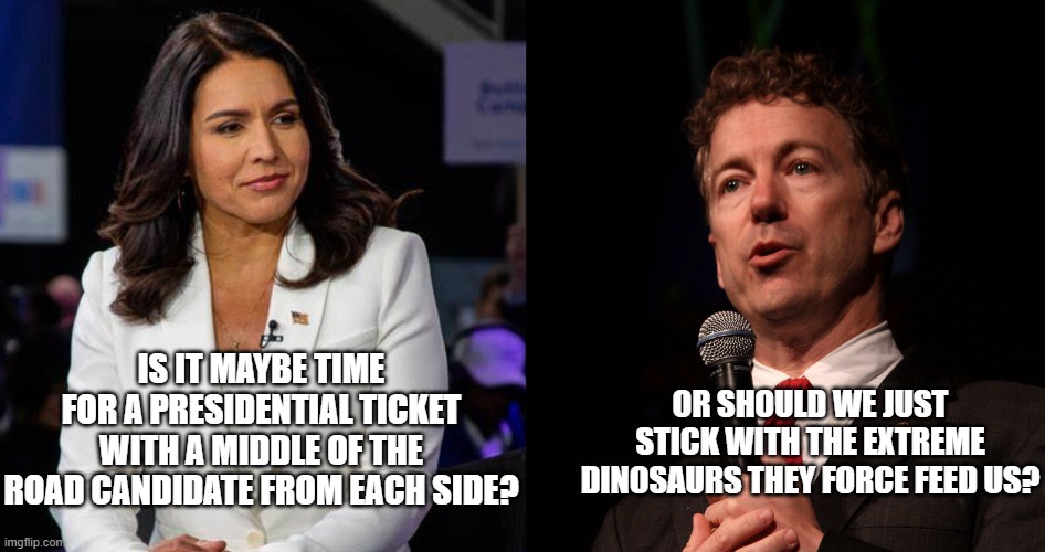 Will We Ever Get Back Towards The Middle? | OR SHOULD WE JUST STICK WITH THE EXTREME DINOSAURS THEY FORCE FEED US? IS IT MAYBE TIME FOR A PRESIDENTIAL TICKET WITH A MIDDLE OF THE ROAD CANDIDATE FROM EACH SIDE? | image tagged in rand paul,tulsi gabbard | made w/ Imgflip meme maker