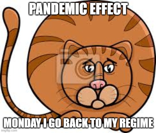 overweight | PANDEMIC EFFECT; MONDAY I GO BACK TO MY REGIME | image tagged in excesso de peso | made w/ Imgflip meme maker