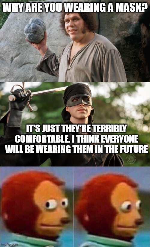 Princess Bride predicted 2020 | WHY ARE YOU WEARING A MASK? IT'S JUST THEY'RE TERRIBLY COMFORTABLE. I THINK EVERYONE WILL BE WEARING THEM IN THE FUTURE | image tagged in monkey looking away,princess bride,covid | made w/ Imgflip meme maker