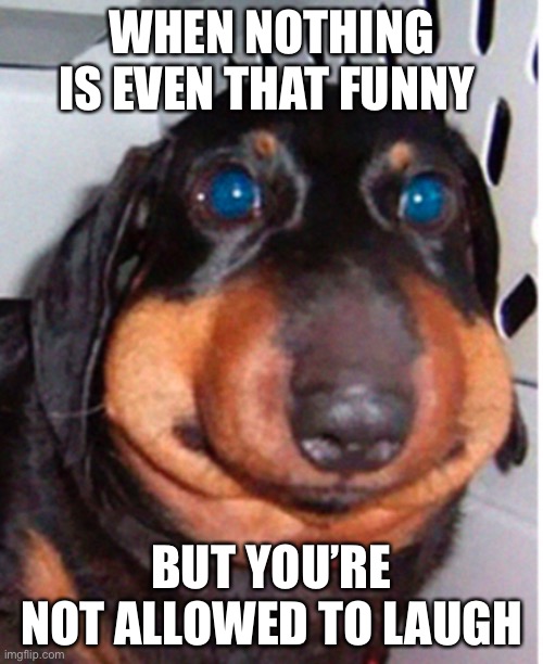 Seriously tho | WHEN NOTHING IS EVEN THAT FUNNY; BUT YOU’RE NOT ALLOWED TO LAUGH | made w/ Imgflip meme maker