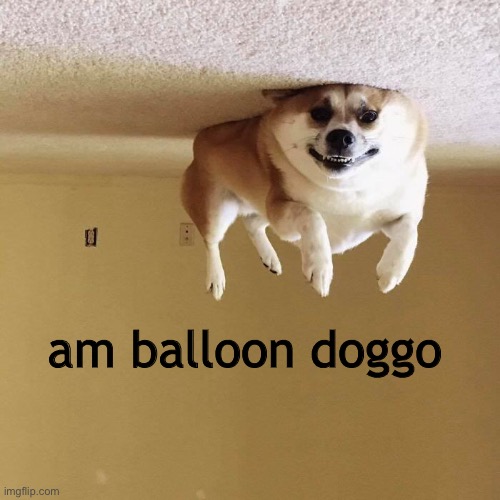 am balloon doggo | made w/ Imgflip meme maker