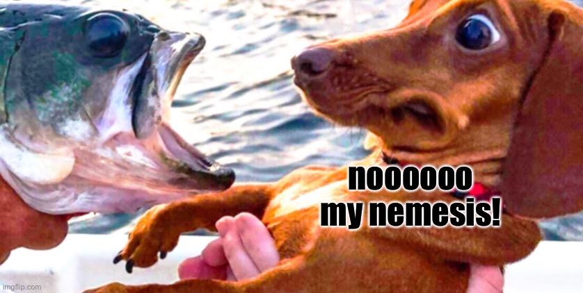 Funny Captioned Pet Pics #-like-5 | noooooo my nemesis! | made w/ Imgflip meme maker
