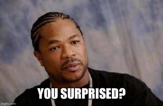 Serious Xzibit Meme | YOU SURPRISED? | image tagged in memes,serious xzibit | made w/ Imgflip meme maker