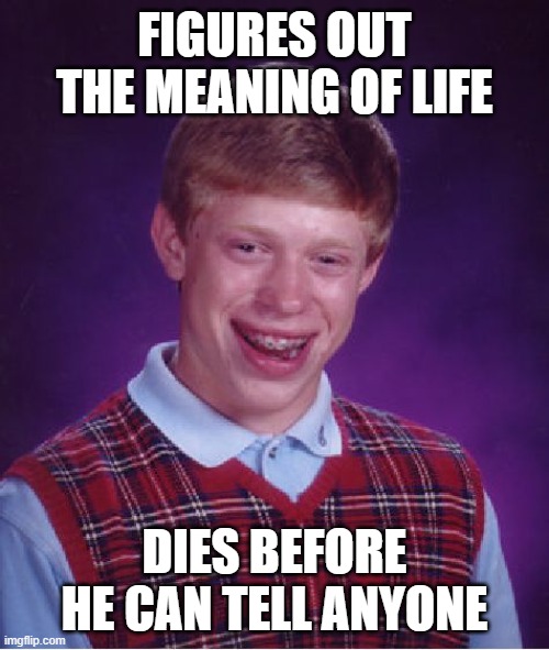 Life is nothing but revelations | FIGURES OUT THE MEANING OF LIFE; DIES BEFORE HE CAN TELL ANYONE | image tagged in memes,bad luck brian | made w/ Imgflip meme maker