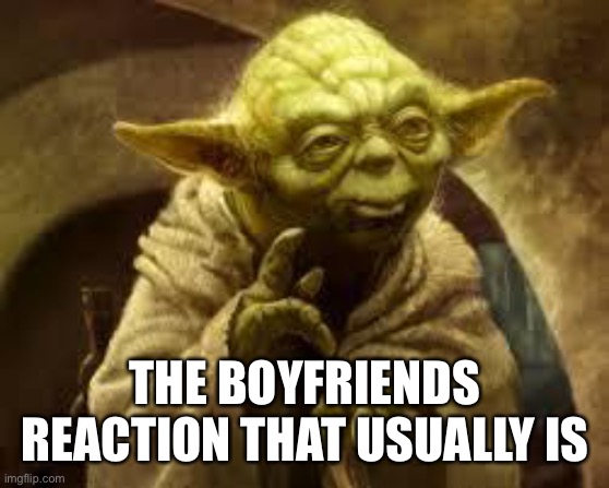 yoda | THE BOYFRIENDS REACTION THAT USUALLY IS | image tagged in yoda | made w/ Imgflip meme maker