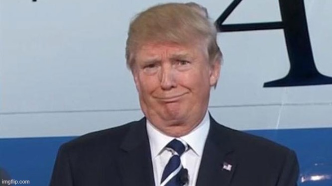 Trump Face | image tagged in trump face | made w/ Imgflip meme maker