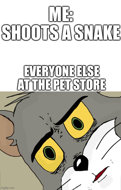 Why are you allowed a gun? | ME:
SHOOTS A SNAKE; EVERYONE ELSE AT THE PET STORE | image tagged in blank white template,memes,unsettled tom | made w/ Imgflip meme maker
