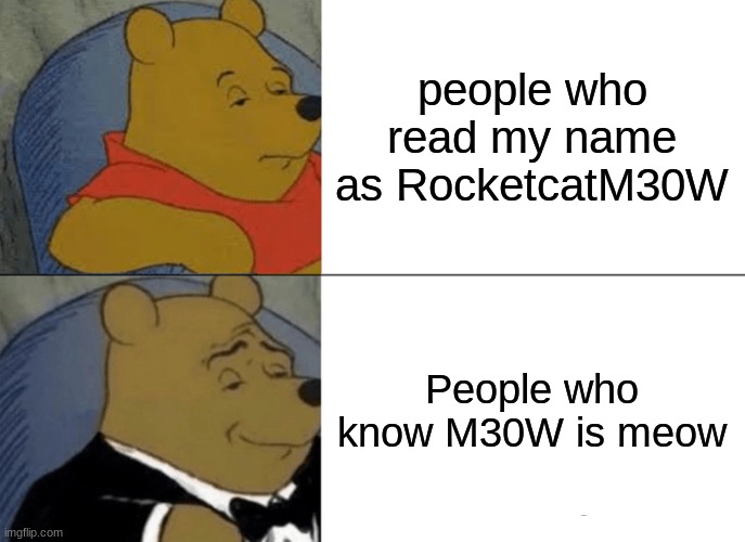 Tuxedo Winnie The Pooh | people who read my name as RocketcatM30W; People who know M30W is meow | image tagged in memes,tuxedo winnie the pooh | made w/ Imgflip meme maker