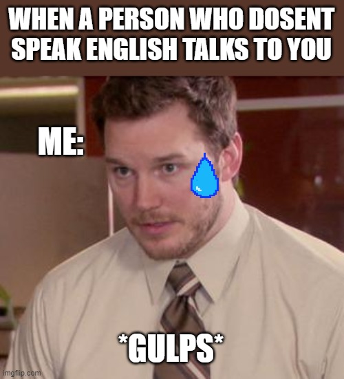 Afraid To Ask Andy (Closeup) Meme | WHEN A PERSON WHO DOSENT SPEAK ENGLISH TALKS TO YOU; ME:; *GULPS* | image tagged in memes,afraid to ask andy closeup | made w/ Imgflip meme maker