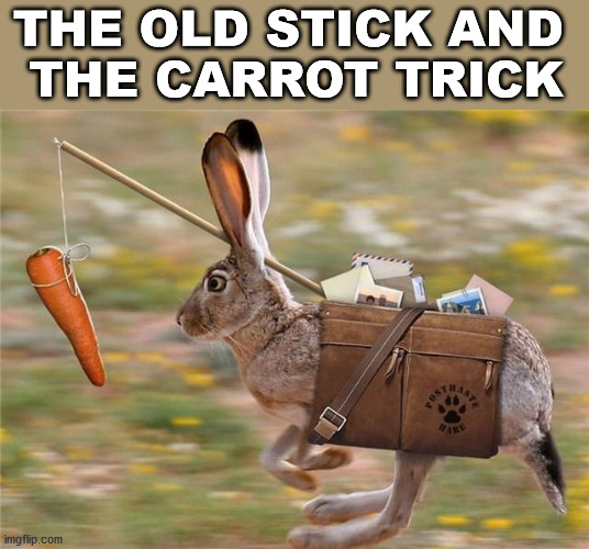 THE OLD STICK AND 
THE CARROT TRICK | made w/ Imgflip meme maker