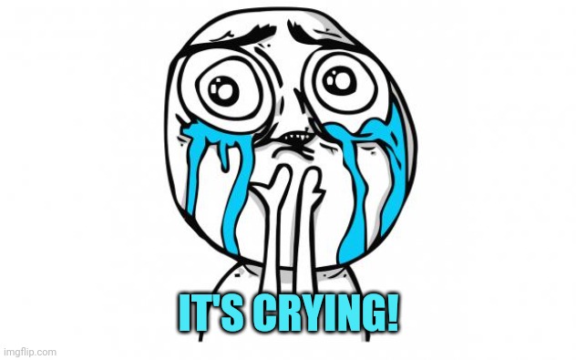 crying meme | IT'S CRYING! | image tagged in crying meme | made w/ Imgflip meme maker