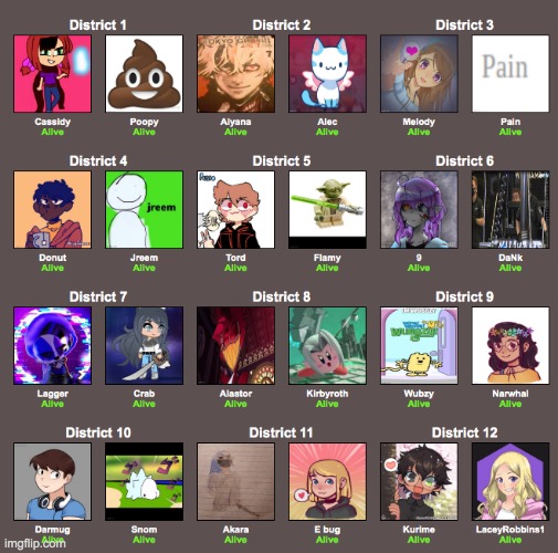 these are the contestants for my Hunger Games | image tagged in hunger games | made w/ Imgflip meme maker
