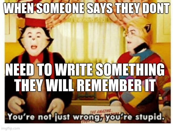 You're not just wrong your stupid | WHEN SOMEONE SAYS THEY DONT; NEED TO WRITE SOMETHING THEY WILL REMEMBER IT | image tagged in you're not just wrong your stupid | made w/ Imgflip meme maker