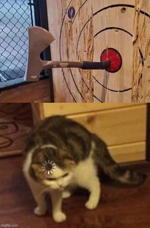 wut ._. | image tagged in loading cat | made w/ Imgflip meme maker