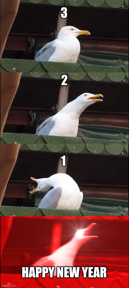 hello 2021!!!! | 3; 2; 1; HAPPY NEW YEAR | image tagged in memes,inhaling seagull,new year | made w/ Imgflip meme maker