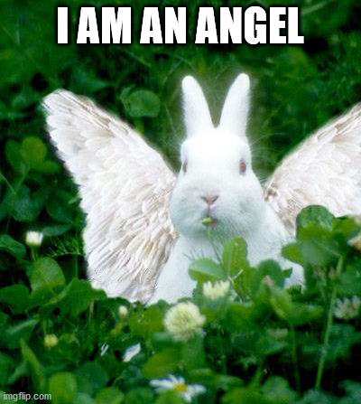 I AM AN ANGEL | made w/ Imgflip meme maker