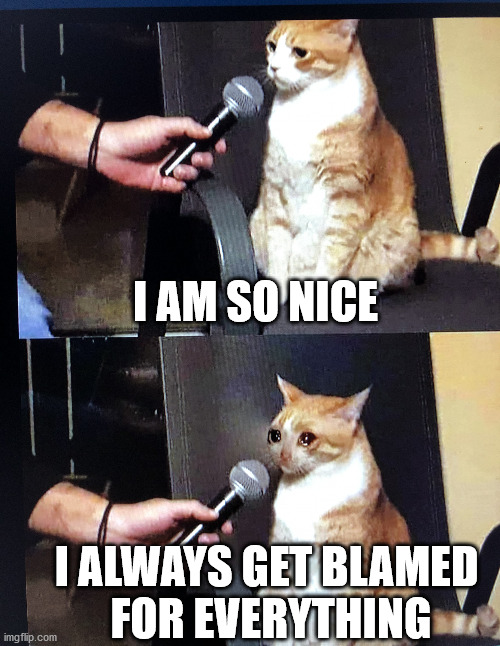 Cat interview crying | I AM SO NICE; I ALWAYS GET BLAMED 
FOR EVERYTHING | image tagged in cat interview crying | made w/ Imgflip meme maker