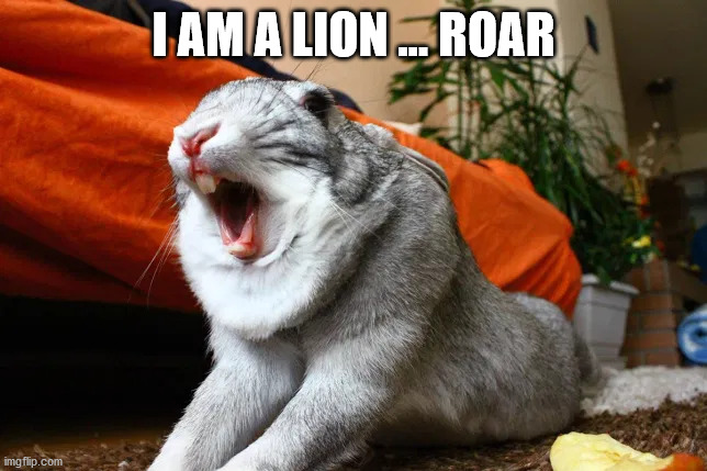 I AM A LION ... ROAR | made w/ Imgflip meme maker