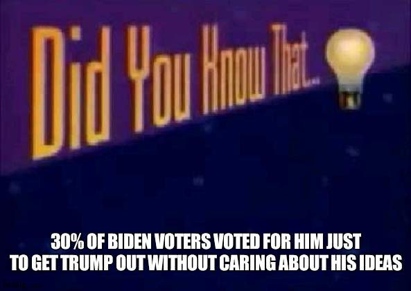 Vote for someone you ACTUALLY want | 30% OF BIDEN VOTERS VOTED FOR HIM JUST TO GET TRUMP OUT WITHOUT CARING ABOUT HIS IDEAS | image tagged in did you know that,vote | made w/ Imgflip meme maker