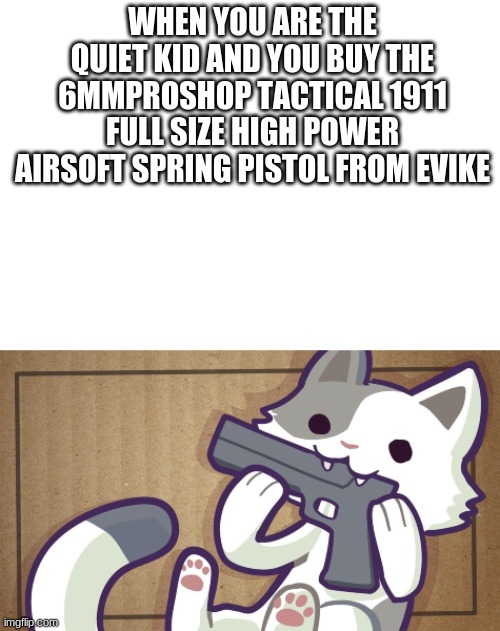 quiet kid | WHEN YOU ARE THE QUIET KID AND YOU BUY THE 6MMPROSHOP TACTICAL 1911 FULL SIZE HIGH POWER AIRSOFT SPRING PISTOL FROM EVIKE | image tagged in guns,memes,cats | made w/ Imgflip meme maker