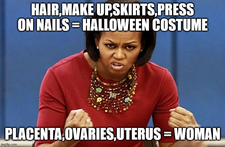 Just saying |  HAIR,MAKE UP,SKIRTS,PRESS ON NAILS = HALLOWEEN COSTUME; PLACENTA,OVARIES,UTERUS = WOMAN | image tagged in michelle obama | made w/ Imgflip meme maker