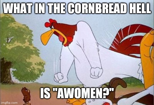seriously | WHAT IN THE CORNBREAD HELL; IS "AWOMEN?" | image tagged in foghorn leghorn | made w/ Imgflip meme maker
