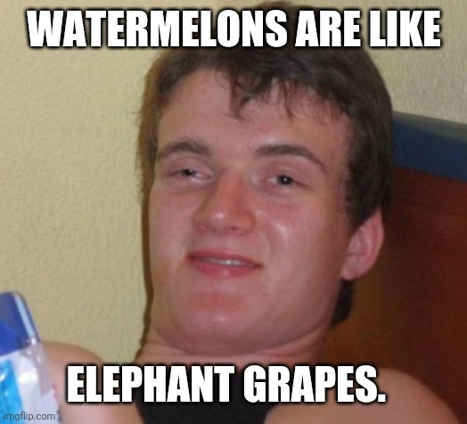 10 Guy Meme |  WATERMELONS ARE LIKE; ELEPHANT GRAPES. | image tagged in memes,10 guy | made w/ Imgflip meme maker