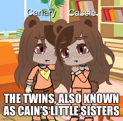 From: Bear village | Found at: Atlas manor |  THE TWINS, ALSO KNOWN AS CAIN’S LITTLE SISTERS | made w/ Imgflip meme maker